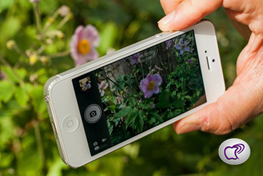 Puede ser calculado Aprovechar Productividad Enfoca correctamente las fotos con el iPhone